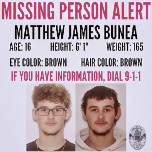 Falls police search for boy, 16, who fled from crash